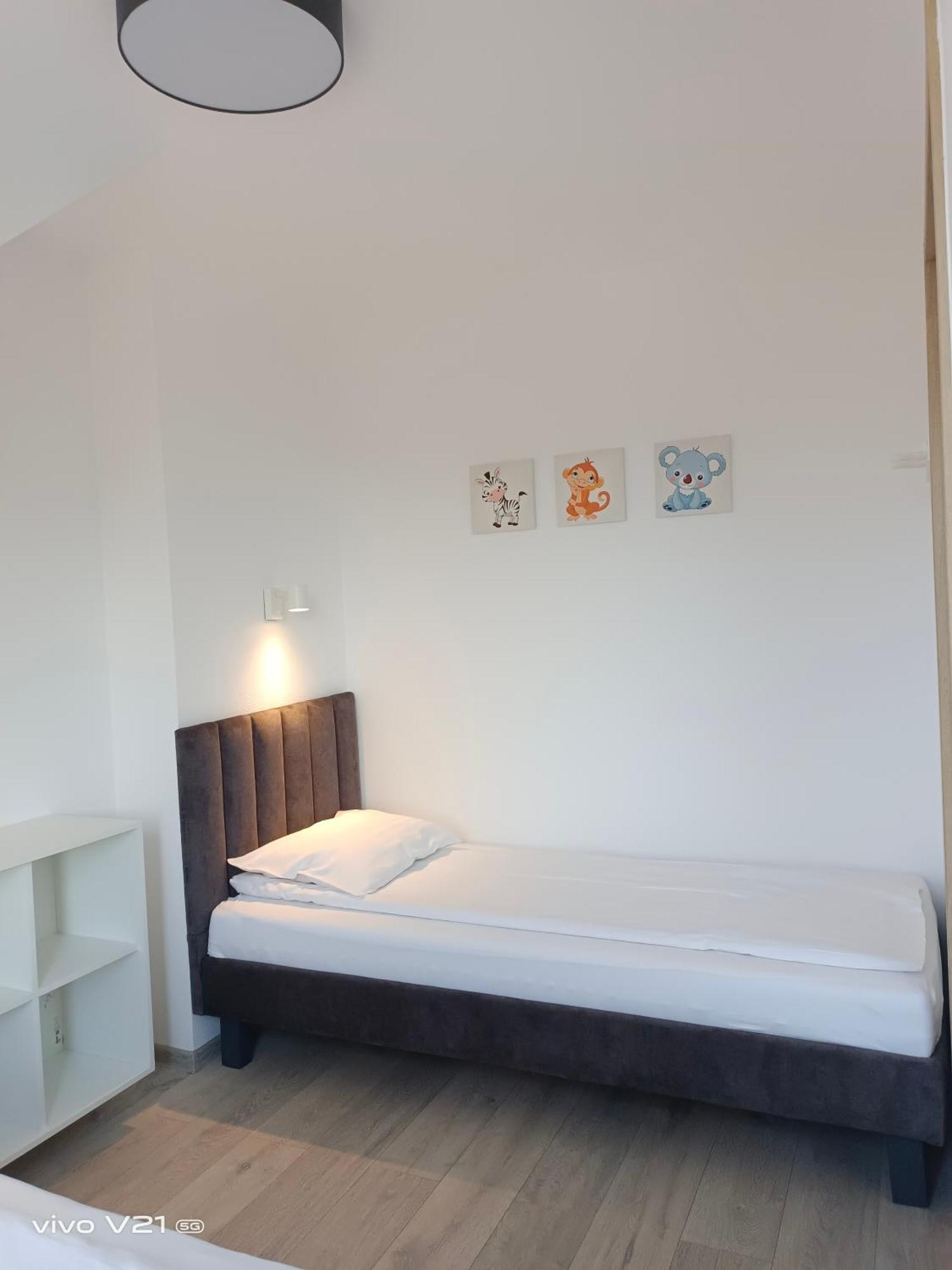 Villa Cork دمبكي المظهر الخارجي الصورة