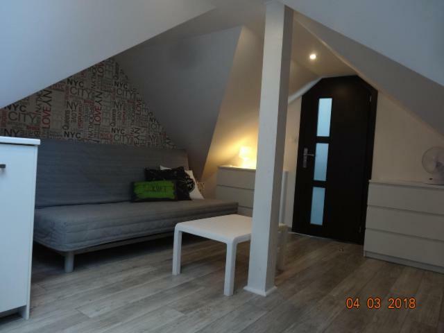 Villa Cork دمبكي المظهر الخارجي الصورة